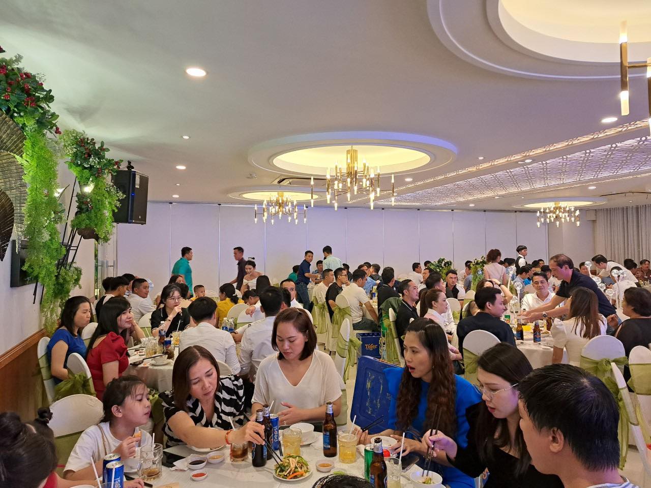 Dịch Vụ Trọn Gói Chuyên Nghiệp